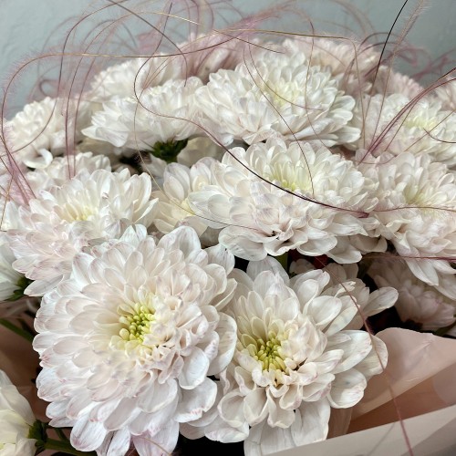 Монобукет из 11 Хризантем "Зефир"