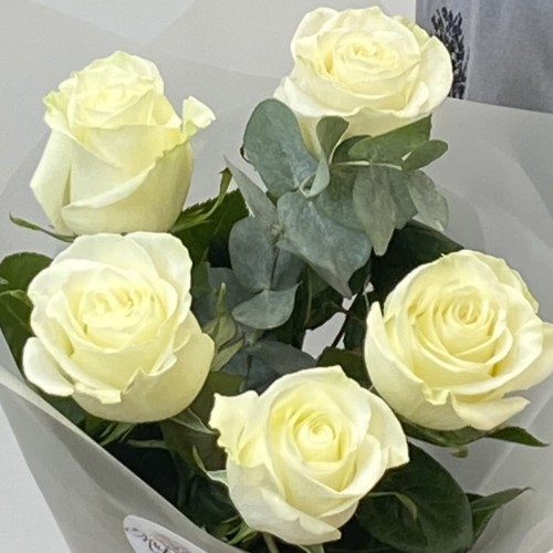 Монобукет из 5 роз "Нежность"